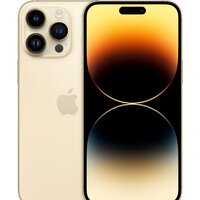 Apple iPhone 14 Pro Max eSIM 256GB (золотистый)