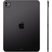 Apple iPad Pro 11" 2025 5G 256GB (черный космос) Image #2