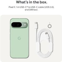 Google Pixel 9 12GB/128GB (винтергрин) Image #11